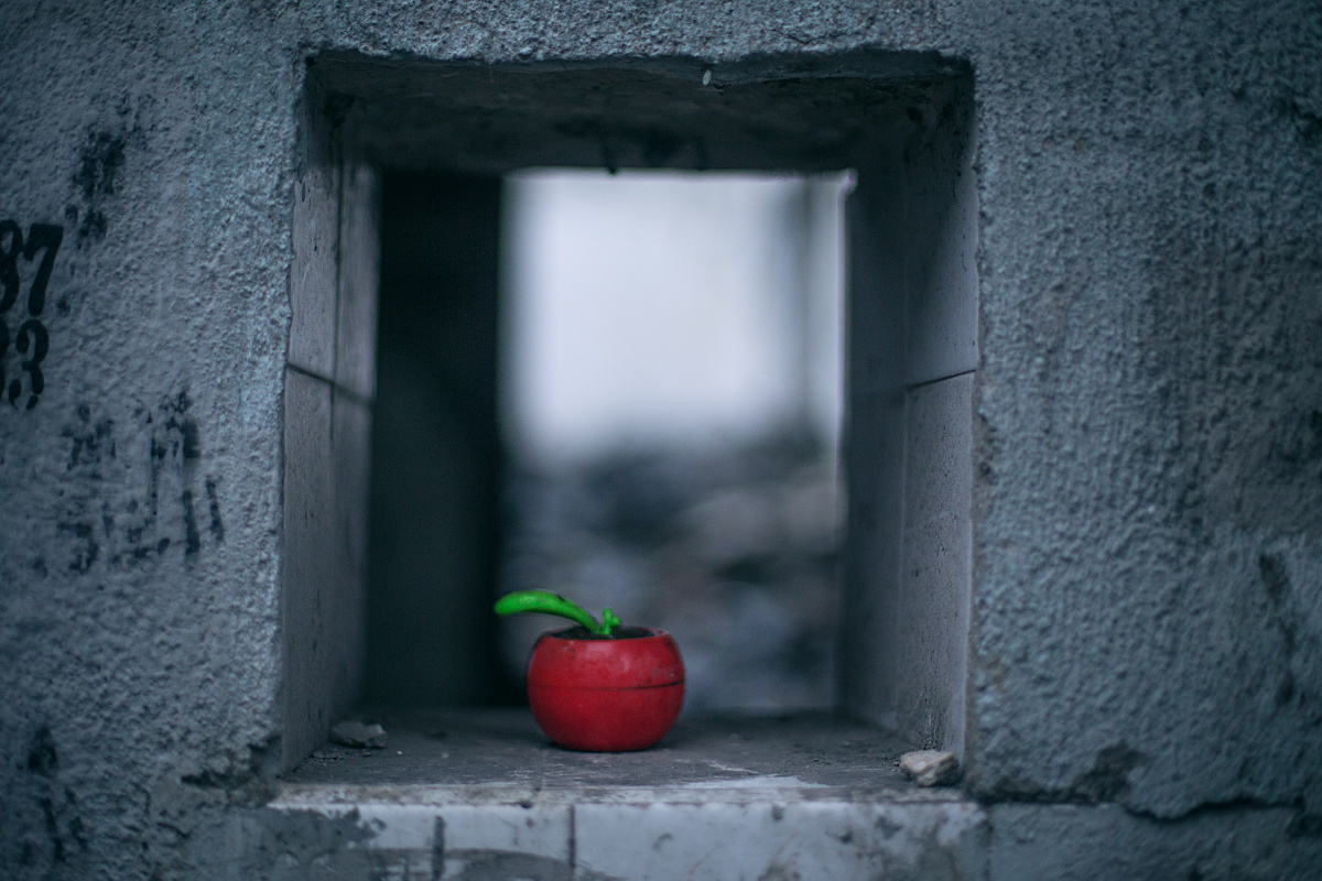 我有一个苹果 - 人文, 上海, 佳能, 50mm - 我有一