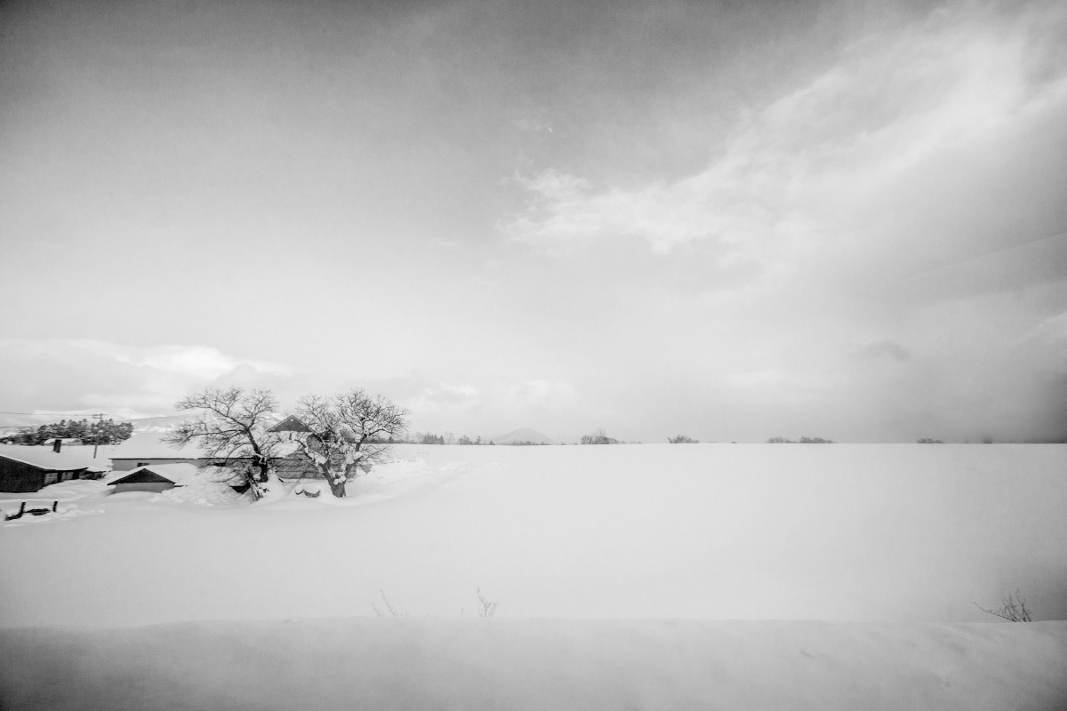 雪川 - 日本, 水平线, 佳能, 黑白, 自然, 《摄影之