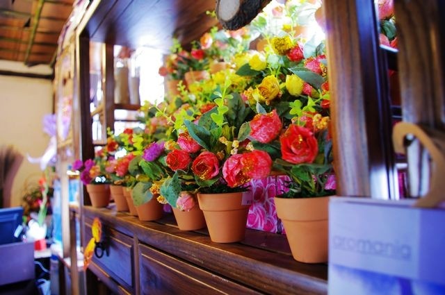 花房-+jingshui+-+图虫摄影网