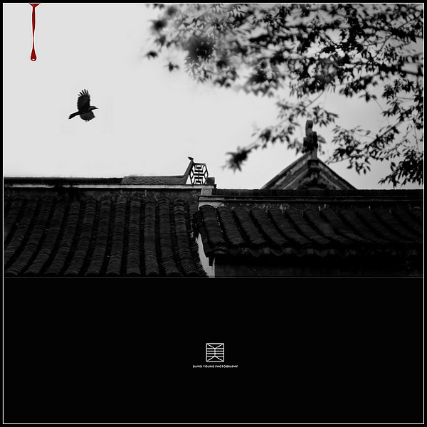 The Crow1