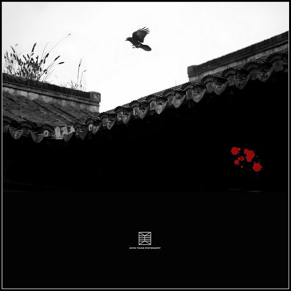 The Crow3