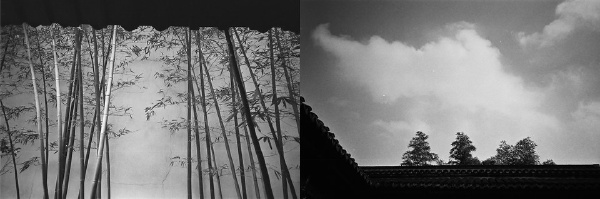 无主之地11