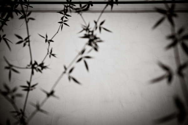 sadness12