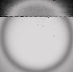 雨2