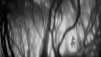 forest3