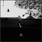 The Crow1