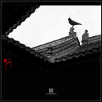 The Crow4