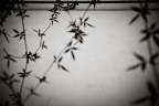 sadness12
