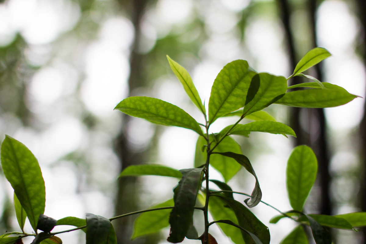 王一多_ - 图虫摄影网