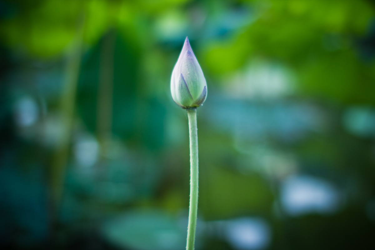 王一多_ - 图虫摄影网