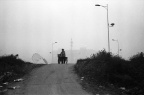 a19