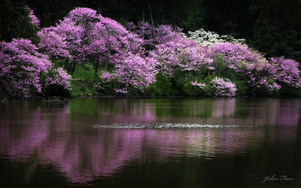 Quiet Moment