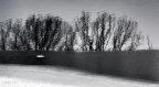 Farewell to the Winter