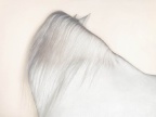 蒂姆.弗拉克4