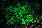 _DSC6241