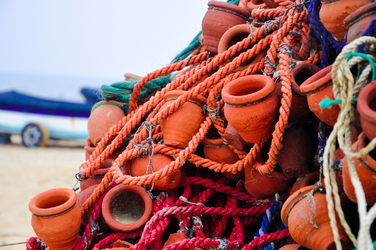 DSC_1276.jpg - rush5700 - 图虫摄影网