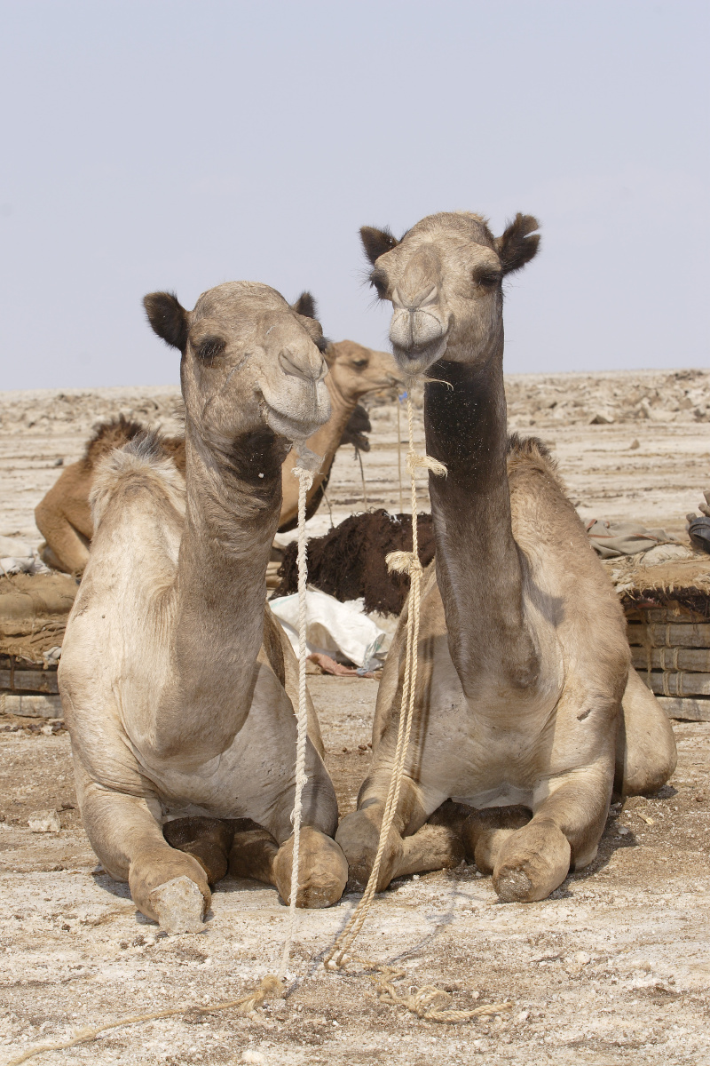 单人旅行 - S-Lan、