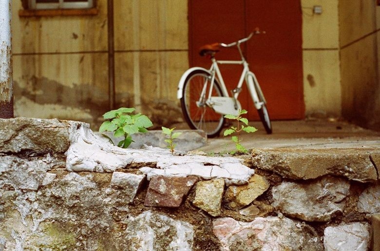 永久C - Minolta, x700 - 我是daling