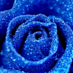 DSC01138 