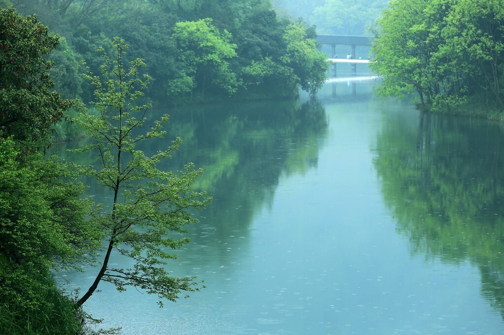 春雨里