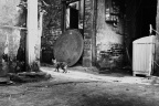 DSC_0869 