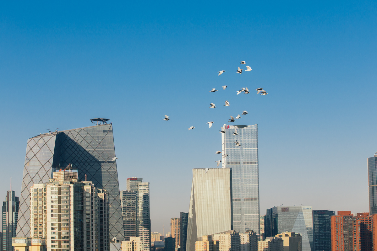 你飞到城市另一边,飞了好远好远 - 北京, 城市,
