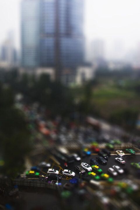 鬼知道我经历了什么_我知道的活化石有