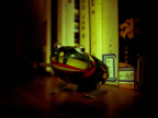 frog