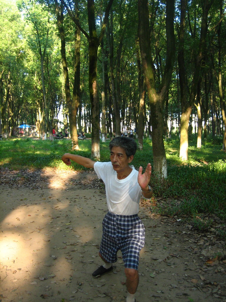 湖南衡阳县西渡镇随拍 - 抓拍, 中国 - 湖南衡阳