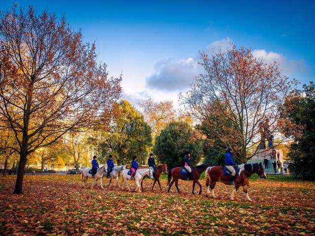 hyde park, london 11213