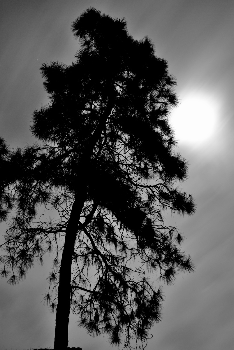 雨后的夜晚 - 黑白, 风光 - gongbaichuan520