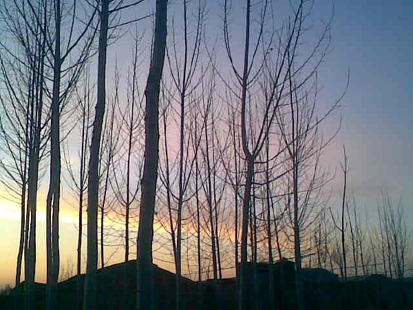 13579标为白天里的黑夜的图博 - 13579 - 图虫