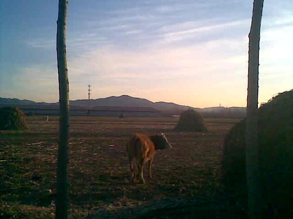 13579标为白色极光的图博 - 13579 - 图虫摄影