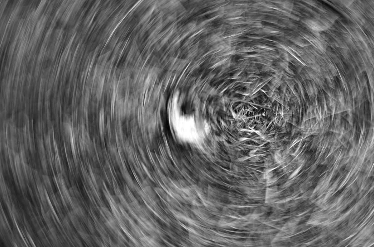 一切都将归于尘土。 - 黑白, 自然, 情感 - 奔跑的