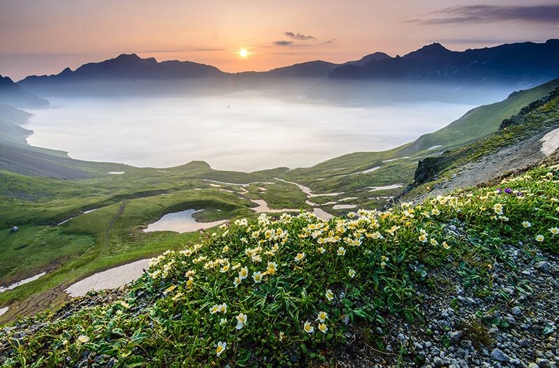 人品极好:长白山天池,日出,云海,野花.该有的全都有.