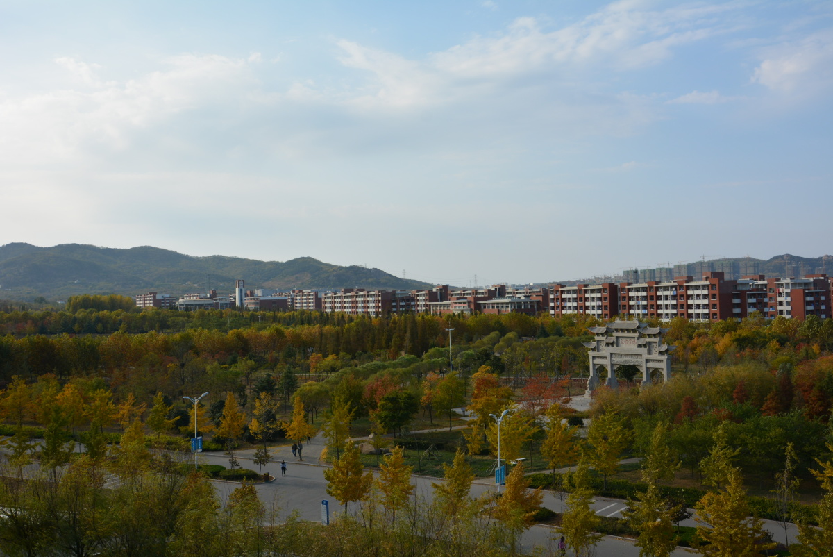 LYN_3334 - 田惠子Lynn.G - 图虫摄影网