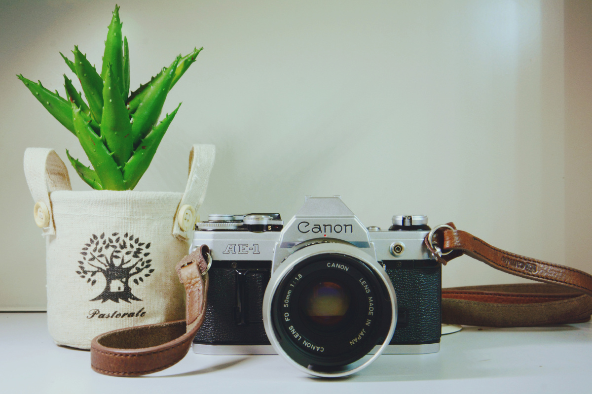 青岛, 大一生活 - 田惠子Lynn.G - 图虫摄影网