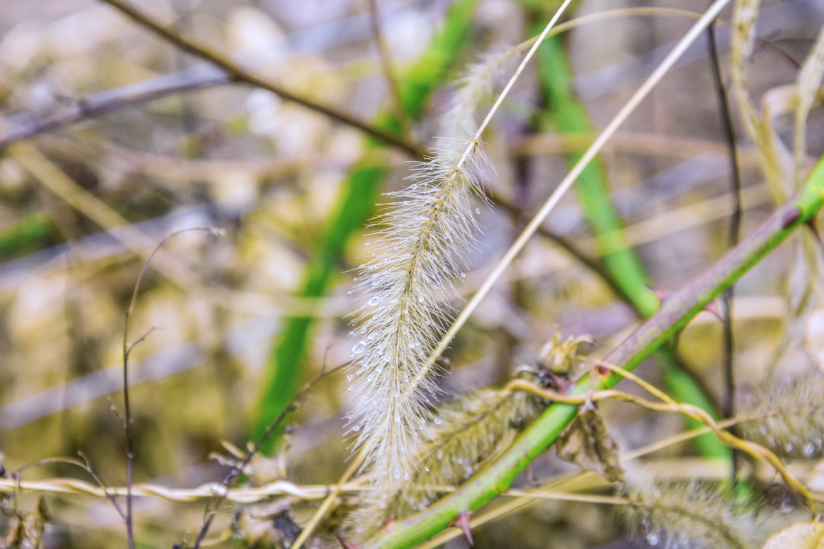 LYN_8814 - 田惠子Lynn.G - 图虫摄影网