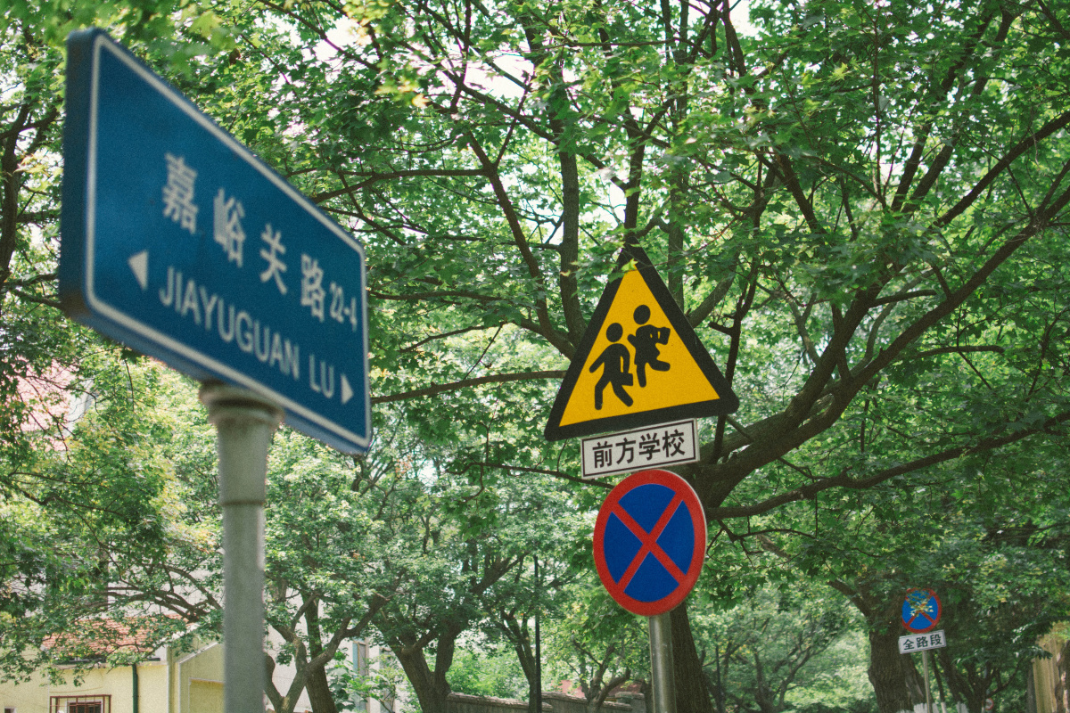 _LYN2718 - 田惠子Lynn.G - 图虫摄影网