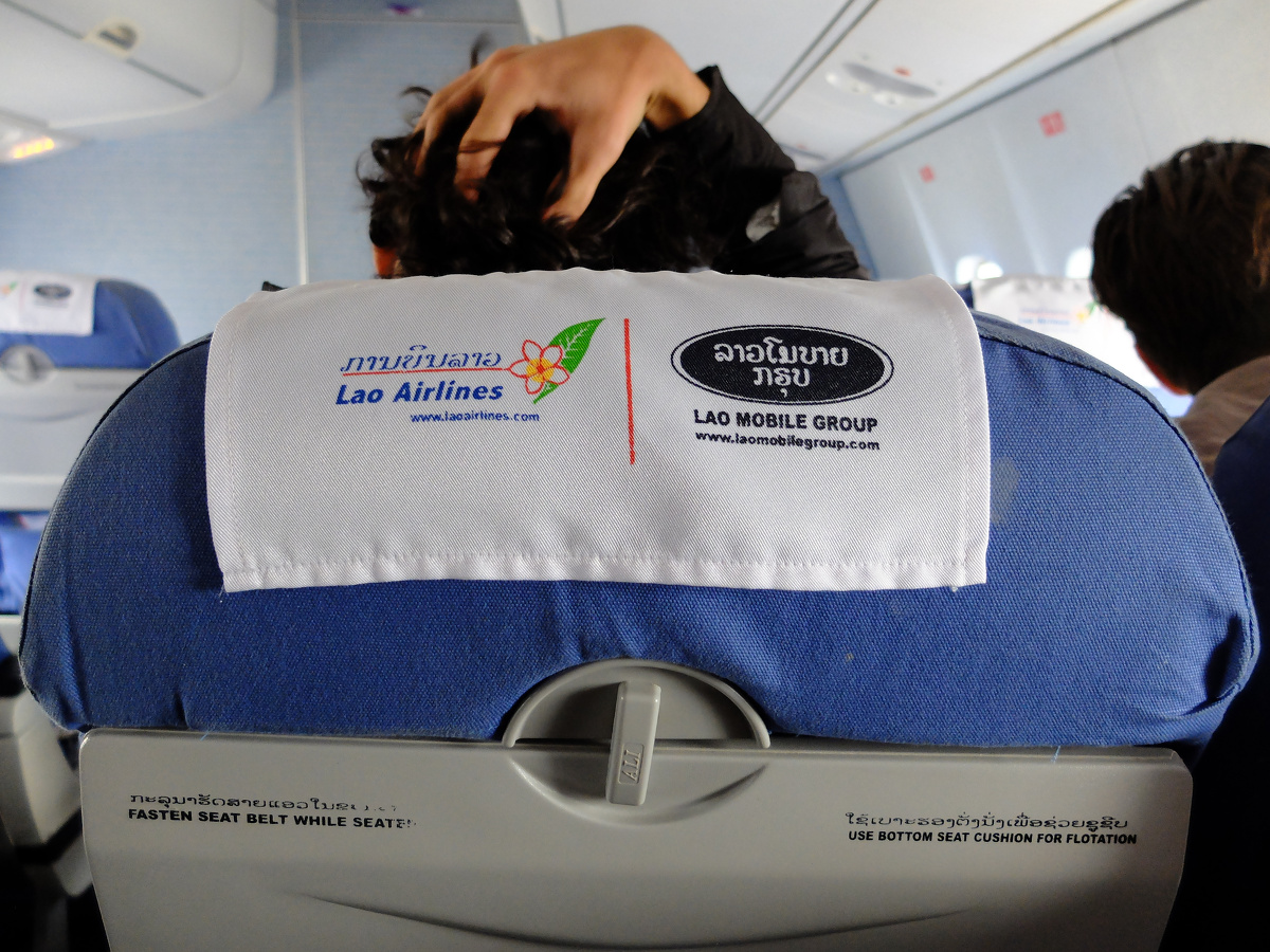 龙什么黄 - 图虫摄影网