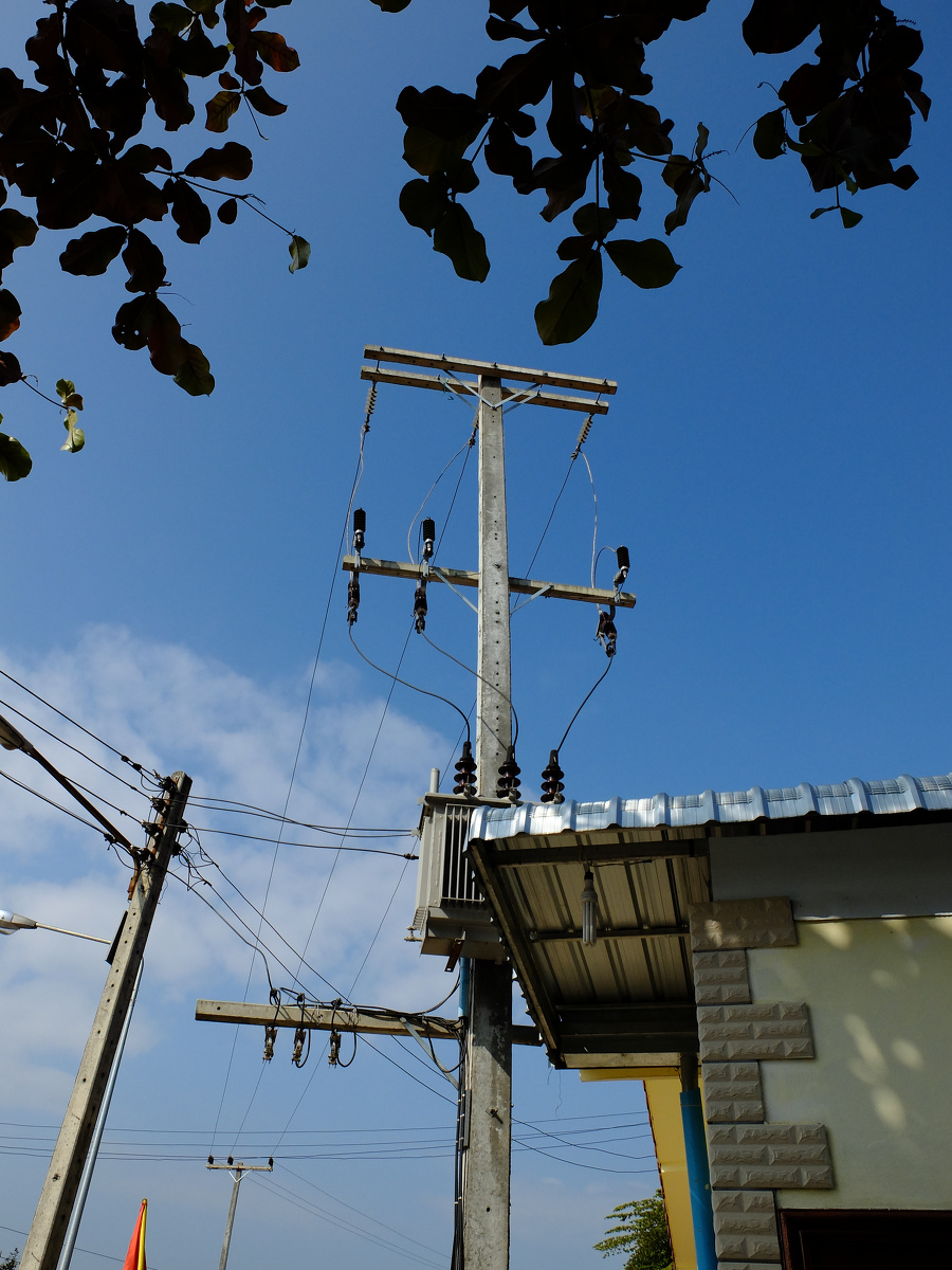 龙什么黄 - 图虫摄影网