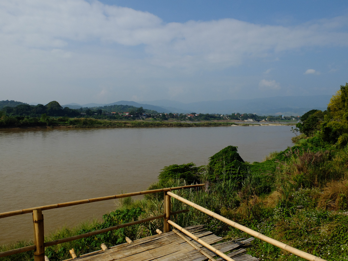 龙什么黄 - 图虫摄影网