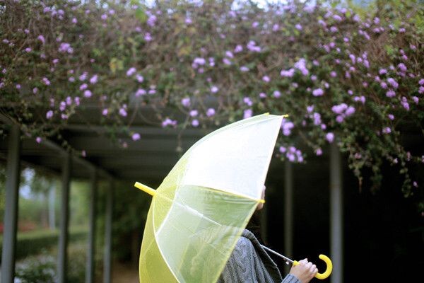 春天,下雨了