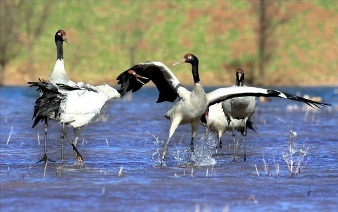 风光, 夕阳, 云南曲靖会泽, 尼康, d700 - KellyCh