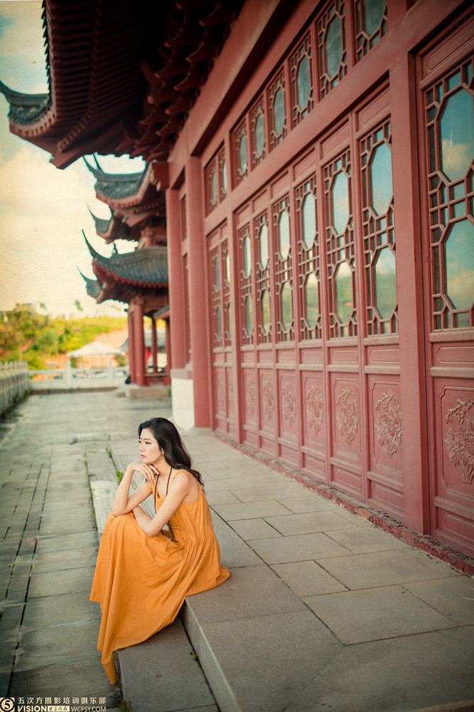 五次方第十期 (3) - 在路上的虫子 - 图虫摄影网