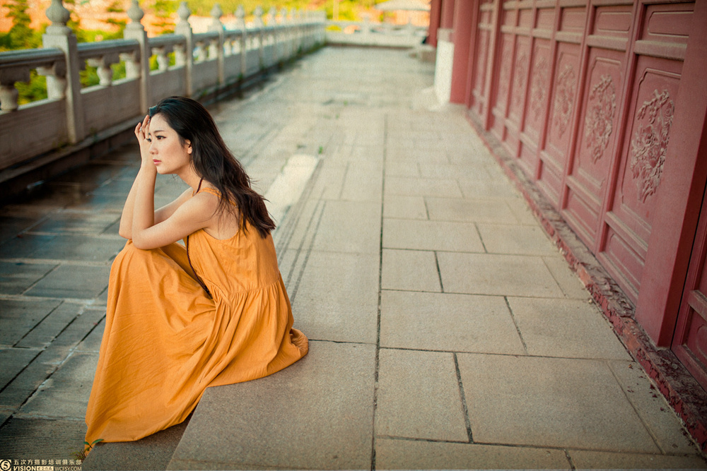 五次方第十期 (4) - 在路上的虫子 - 图虫摄影网