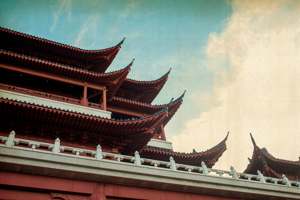 五次方第十期 (9) - 在路上的虫子 - 图虫摄影网