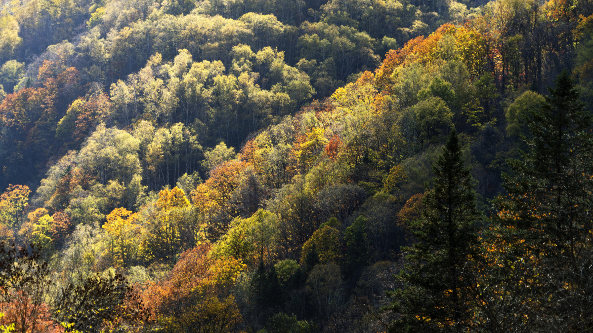 北方的空气 - 人文, 风光, 索尼, 吉林, 色彩 - 纽士