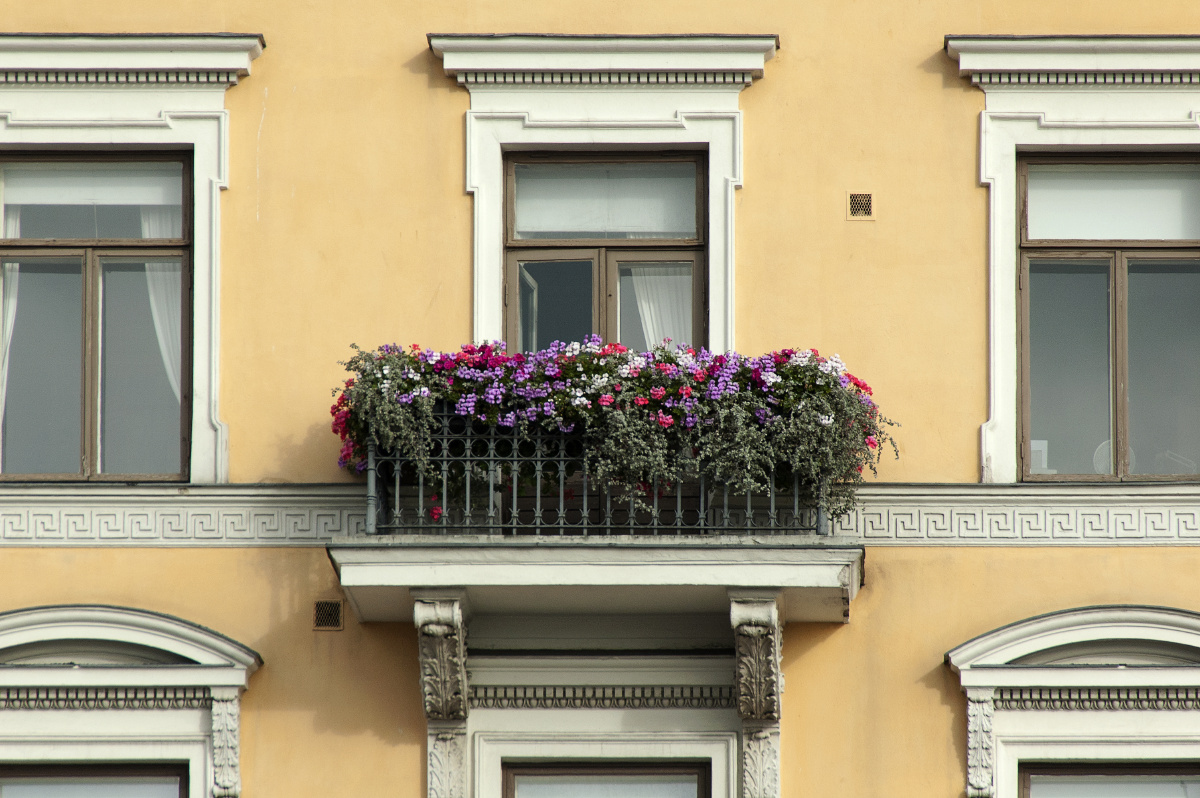 鲜花盛开的窗户 - 人文, 旅行, 尼康, 芬兰, 赫尔辛