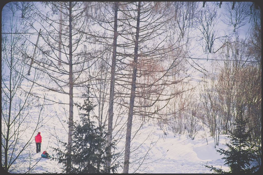 大约在冬季(一) - 风光, 旅行, d700, 尼康, 南京 - 大约在冬季(一) - *云惜惜* - 图虫摄影网